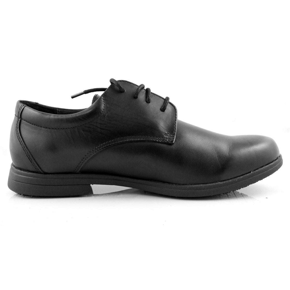 Paddy 8003-01